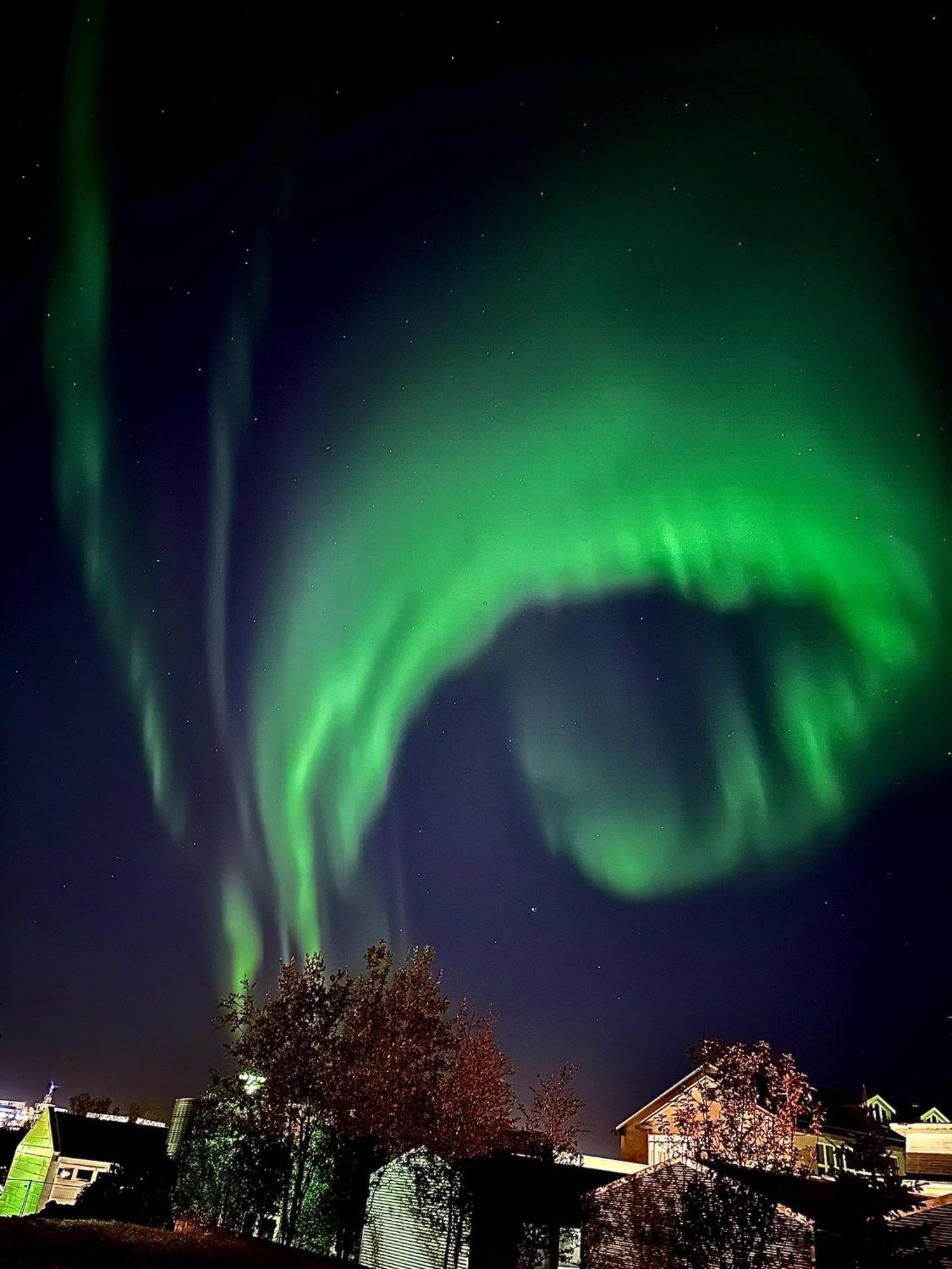 Casa Disa - Dreams, A Boutique Guesthouse In Reykjavik City'S Central Park And Botanical Garden In Laugardalur, Hot-Spring-Valley Dış mekan fotoğraf