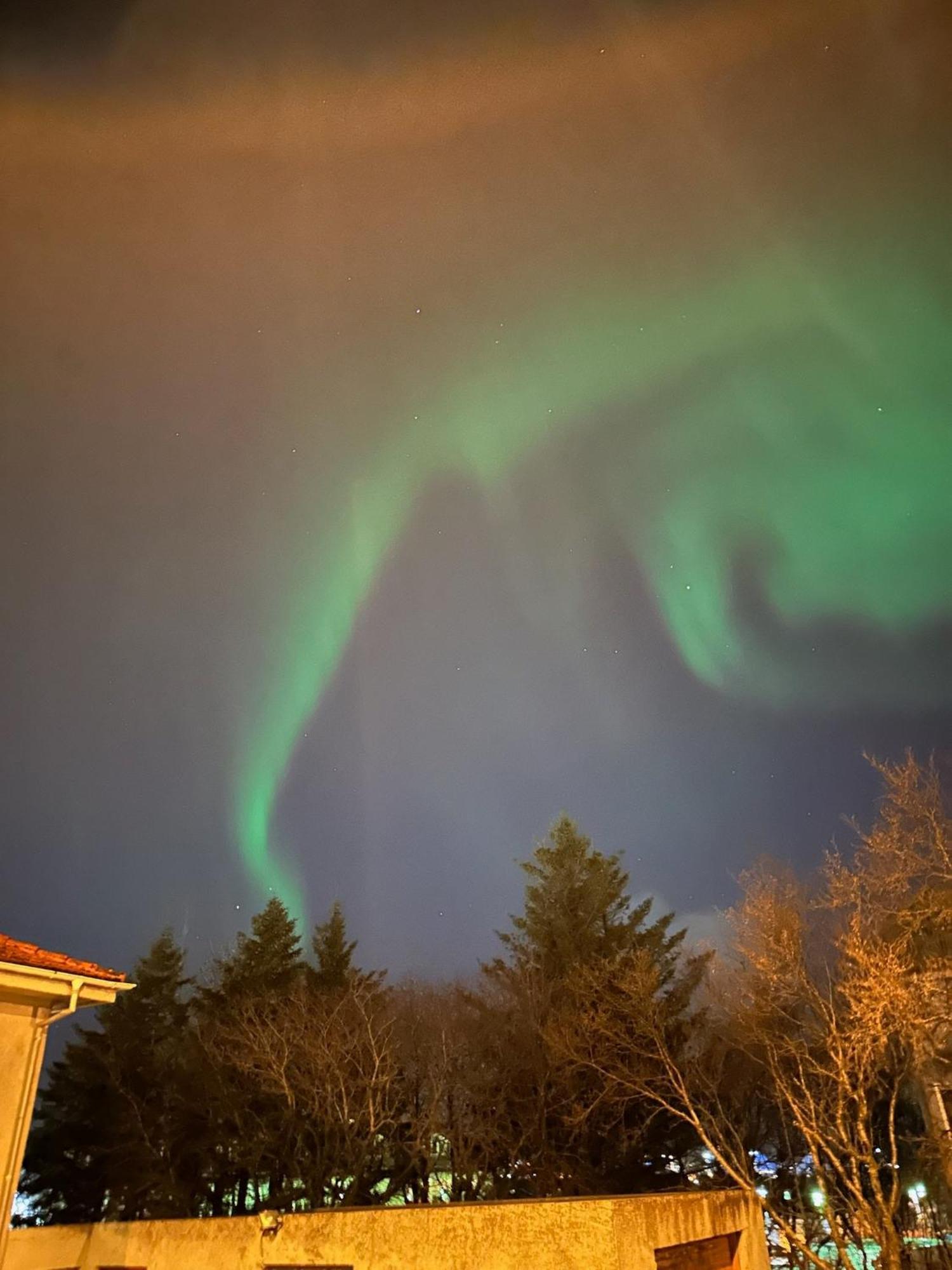 Casa Disa - Dreams, A Boutique Guesthouse In Reykjavik City'S Central Park And Botanical Garden In Laugardalur, Hot-Spring-Valley Dış mekan fotoğraf